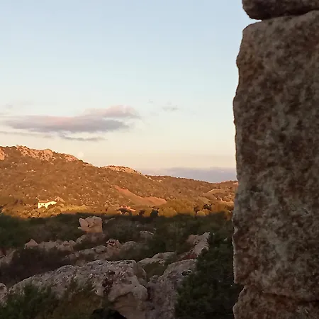 Vaddibona Arzachena